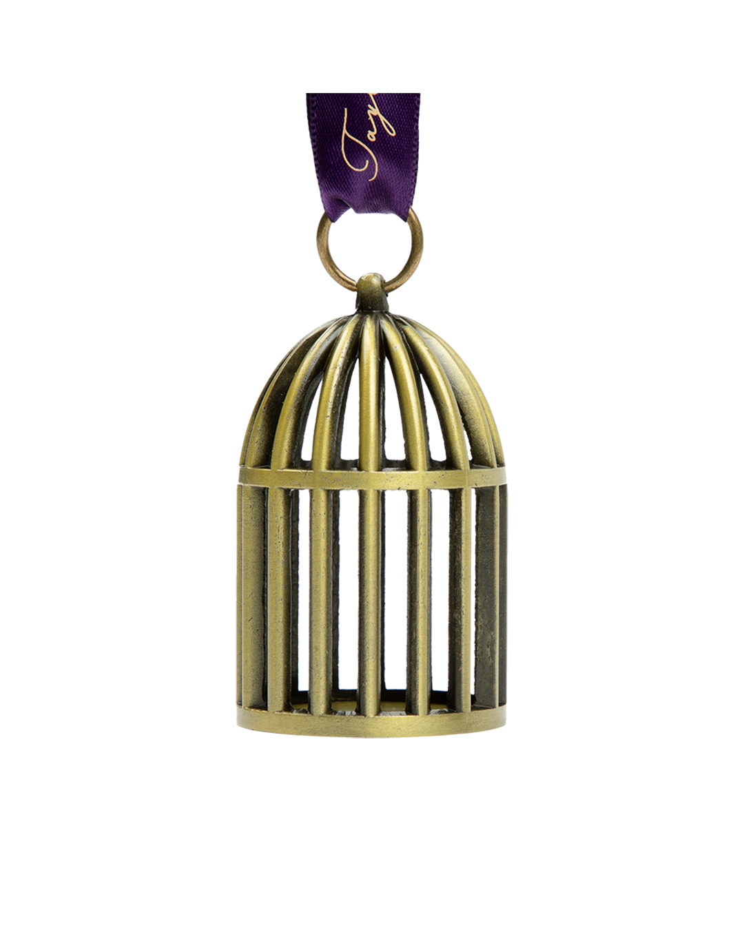 Speak Now (Taylor's Version) Bird Cage Ornament
