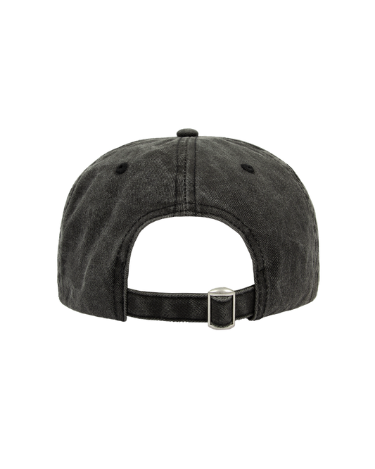 TS Washed Black Dad Hat