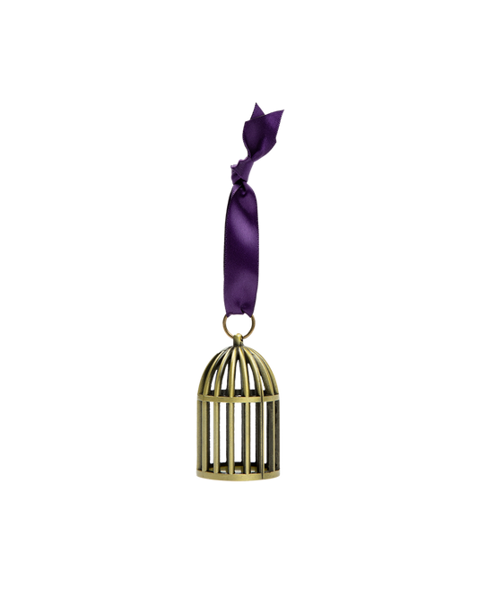 Speak Now (Taylor's Version) Bird Cage Ornament